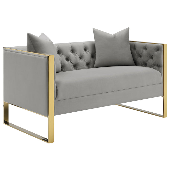 Eastbrook 2-piece Velvet Upholstered Tufted Sofa Set Grey