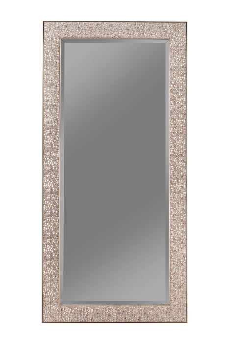 Rollins 32 x 66 Inch Rectangular Floor Mirror Silver