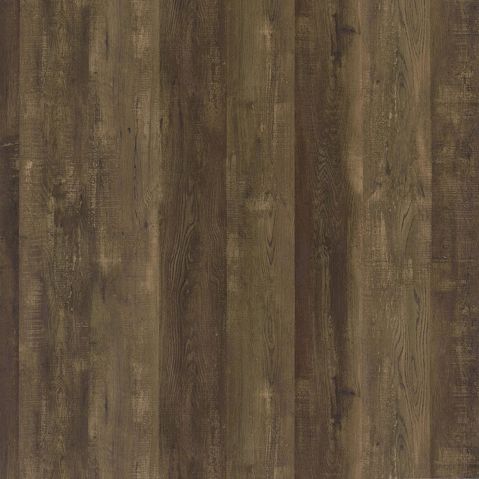 Carolyn 2-door Engineered Wood Accent Cabinet Rustic Oak